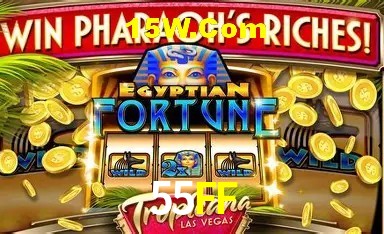 Sports Statistics 55FF